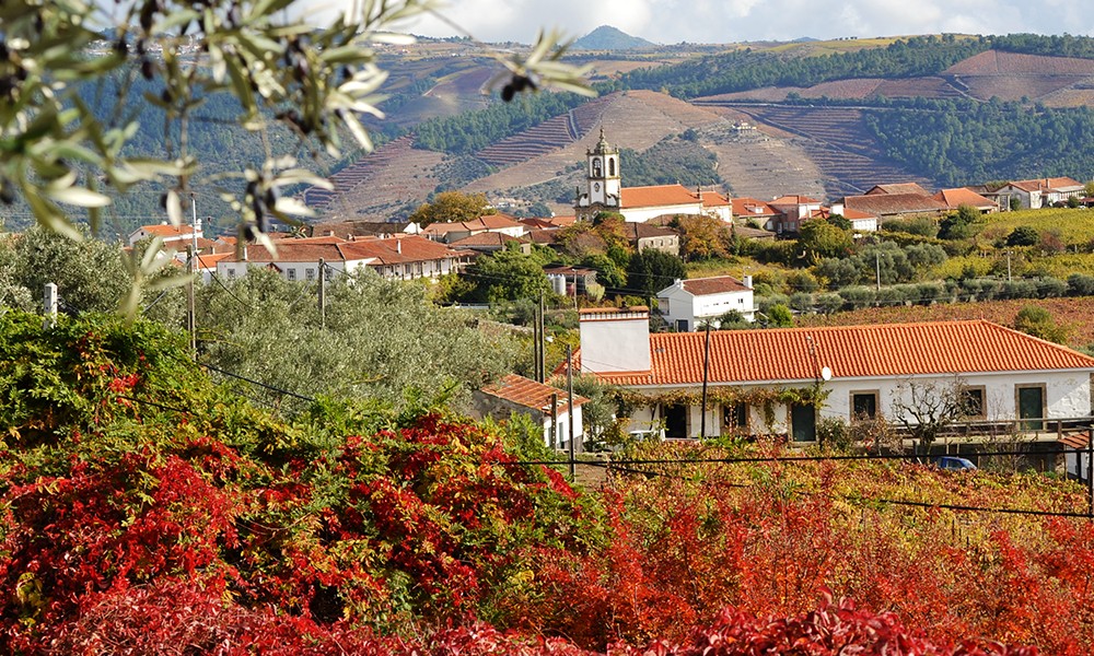Celeirós do Douro