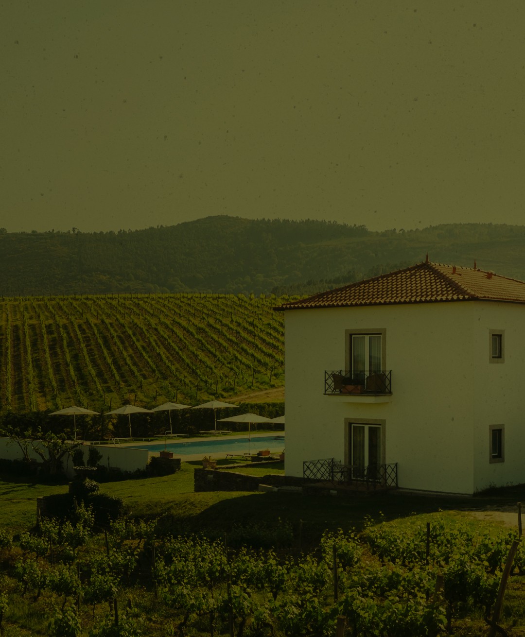 Época de Inverno no Douro