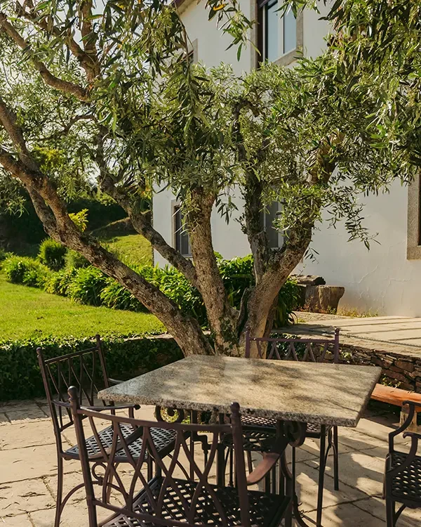 The Manor House Celeirós