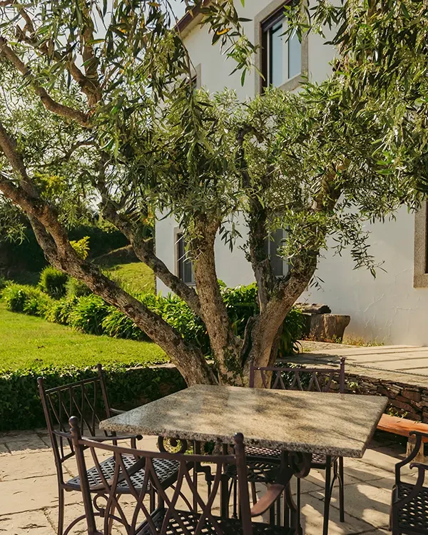 The Manor House Celeirós